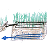Schema bewachsener Bodenfilter (Pflanzenkläranlage)